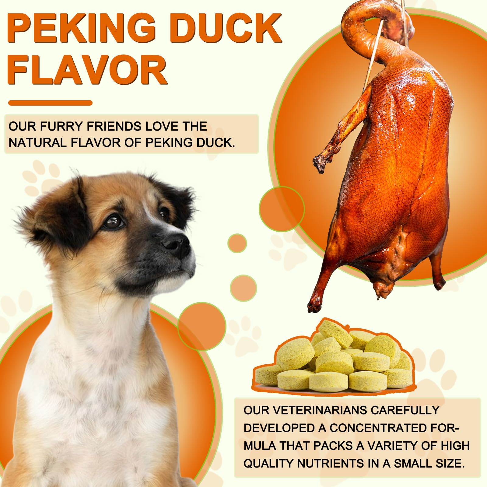 ALIVO Curcuma pour chiens — pelage brillant et peau saine