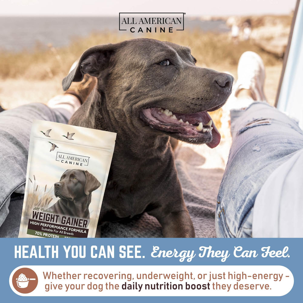 All American Canine Weight Gainer beef broth powder supports muscle and energy