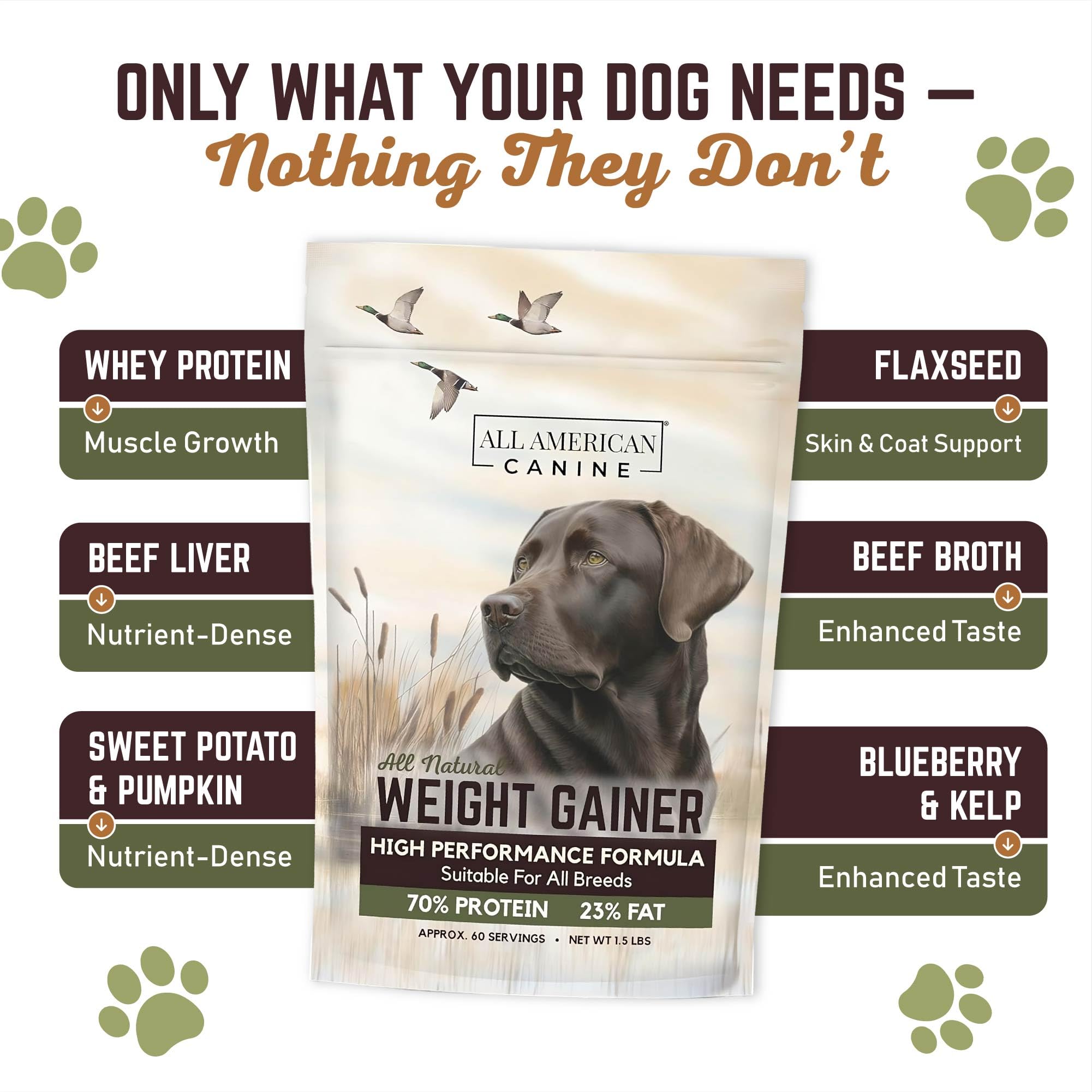 All American Canine Weight Gainer ingredient list highlighting beef broth and protein