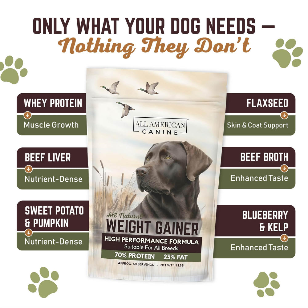 All American Canine Weight Gainer ingredient list highlighting beef broth and protein