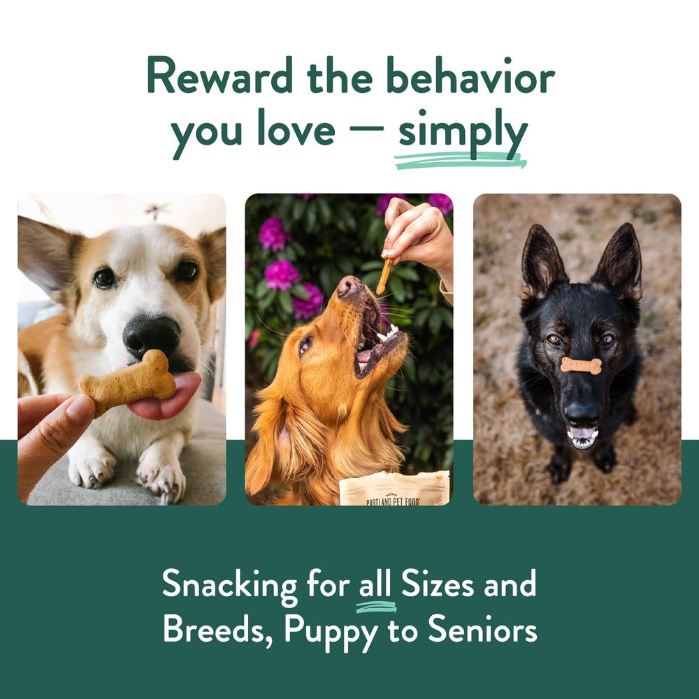 All-natural ingredients bowl shot communicates simple, wholesome snacking for dogs