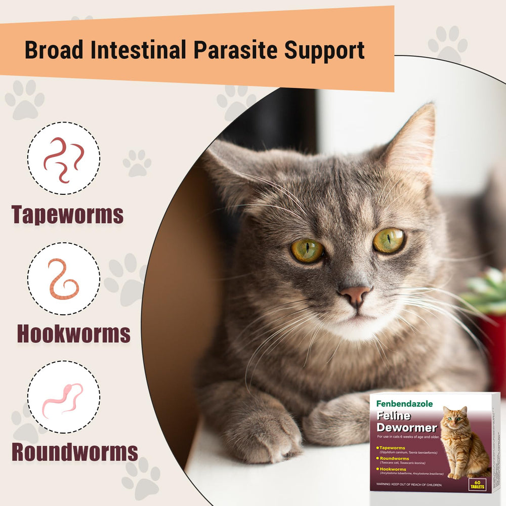Alltripal dewormer tablets ready for direct administration to cats.
