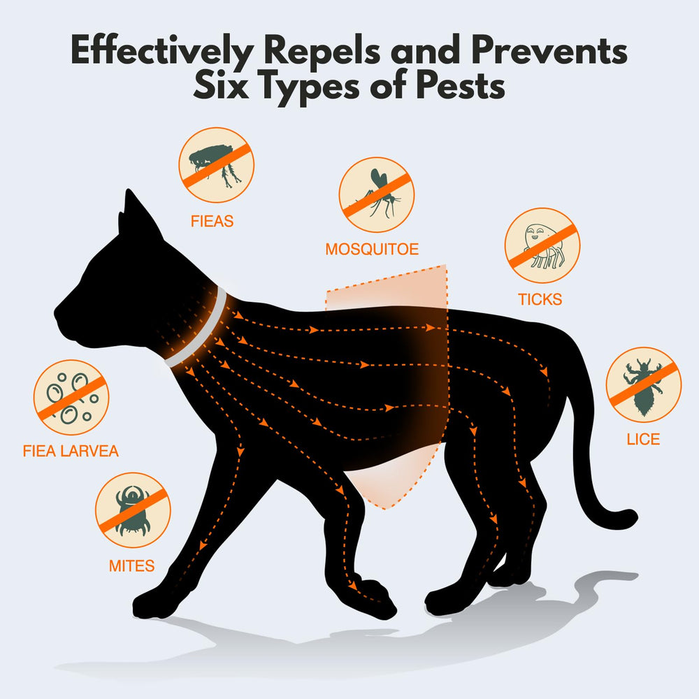 Allyeah collar uses cedarwood lemongrass rosemary clove oils for natural aroma.