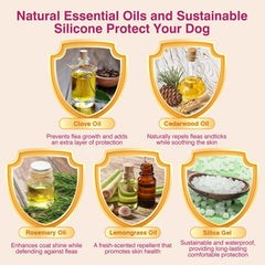 Allyeah natural oil blend close-up highlights gentle, plant-based protection