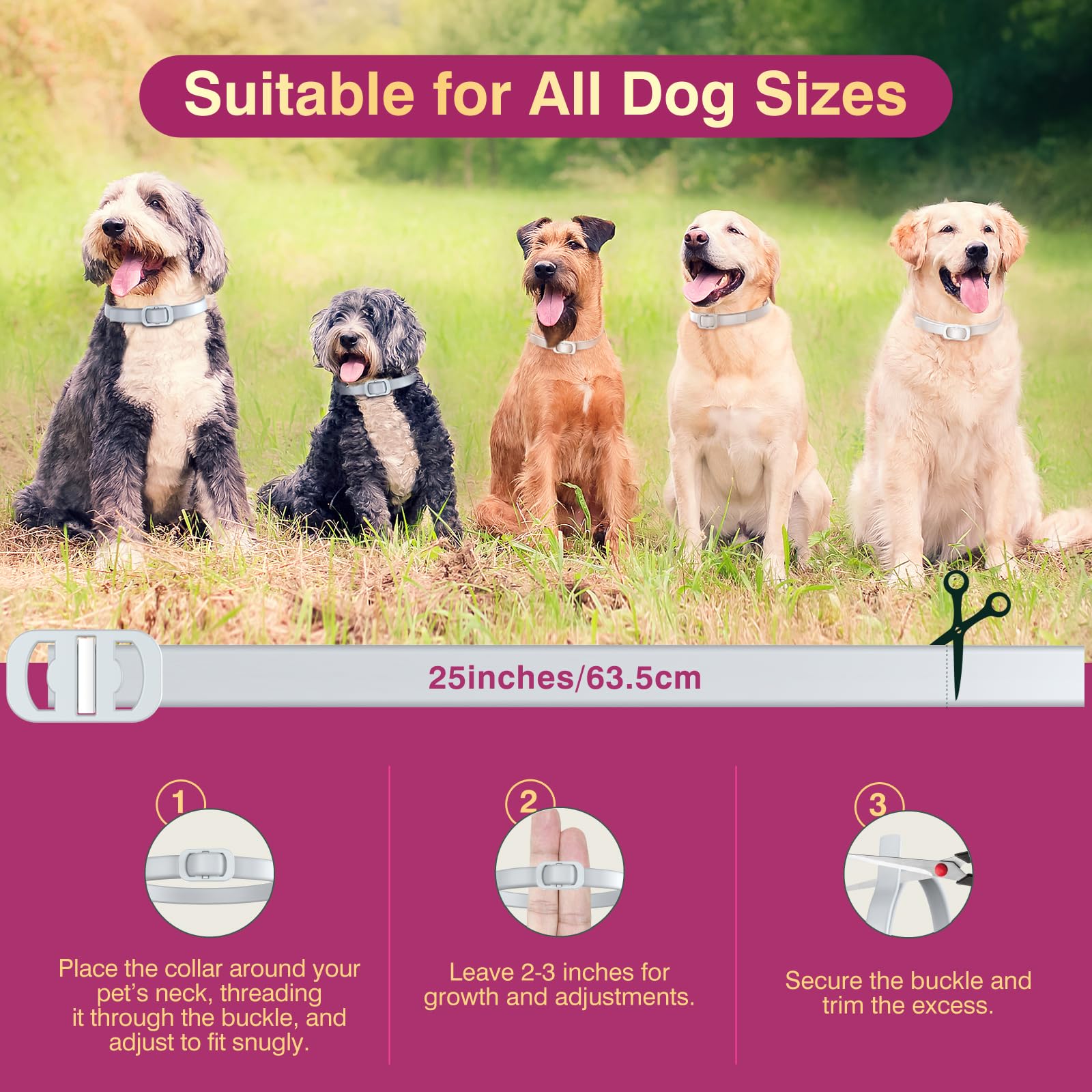Allyeah waterproof collar on wet fur shows durable outdoor use