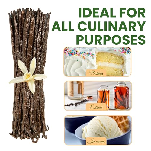 Aloka vanilla beans homemade extract prep shows easy infusion for pure flavor.
