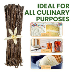 Aloka vanilla beans homemade extract prep shows easy infusion for pure flavor.