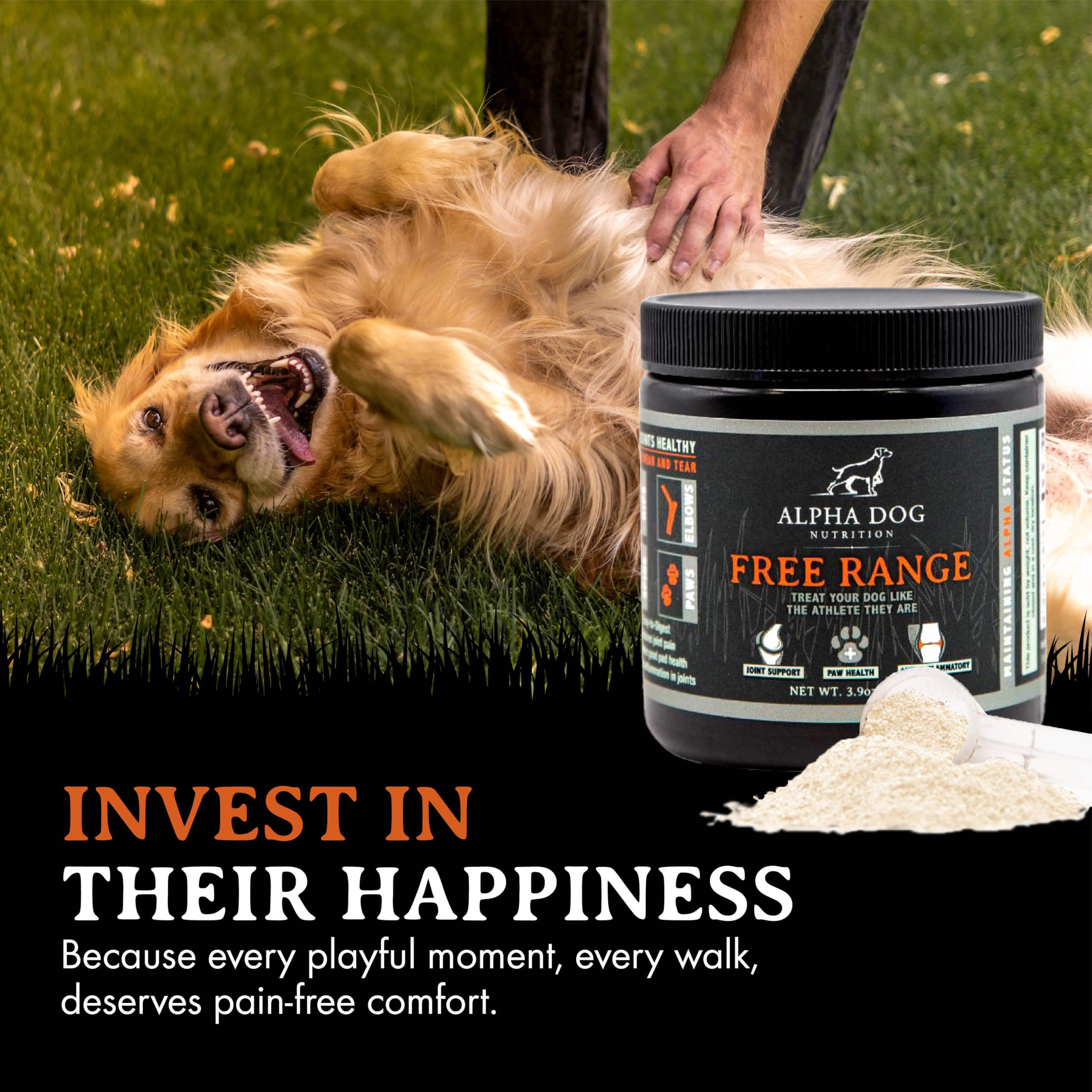 Close-up of Alpha Dog Nutrition joint powder being added to food