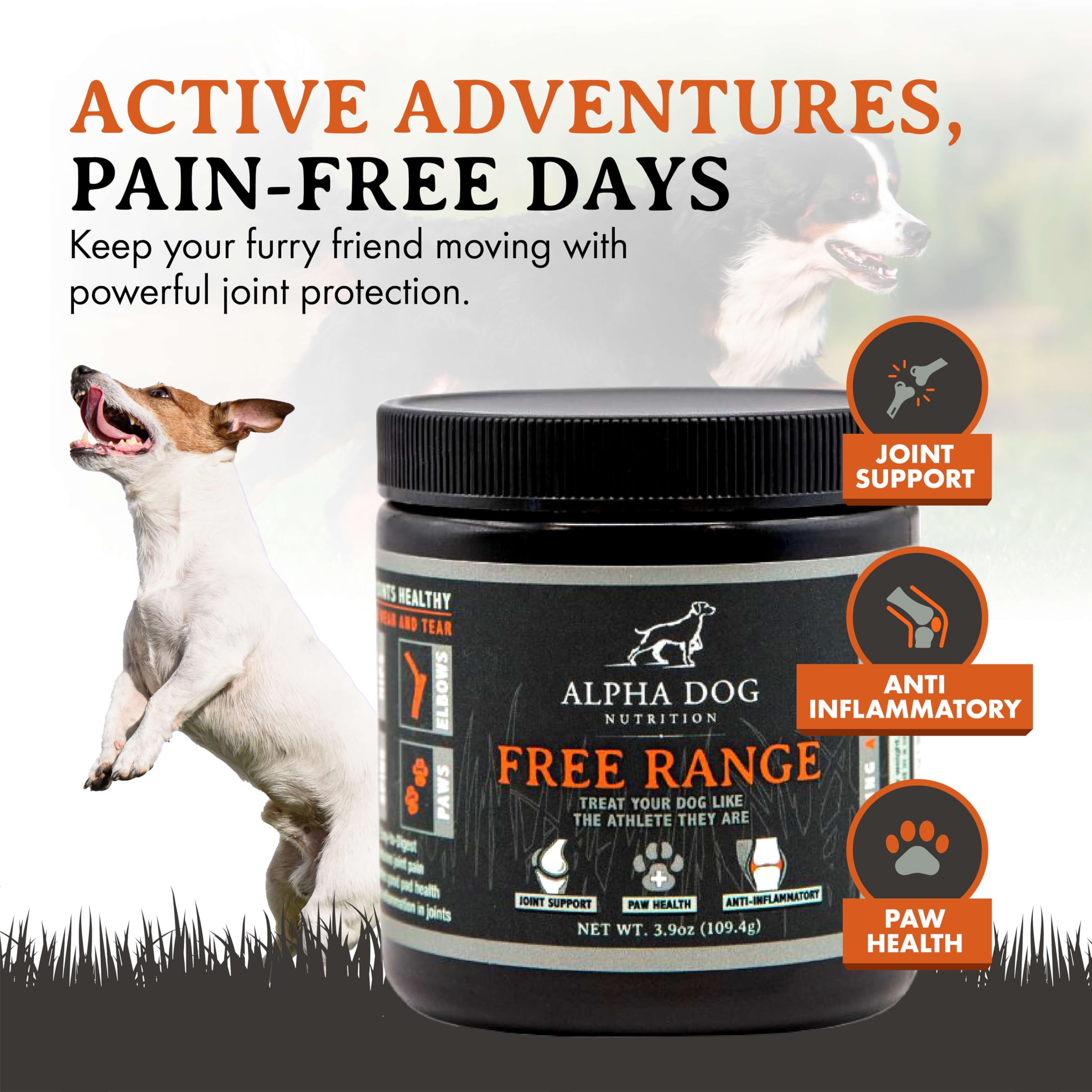 Measuring scoop included with Alpha Dog Nutrition joint powder for easy dosing
