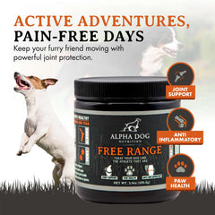 Measuring scoop included with Alpha Dog Nutrition joint powder for easy dosing
