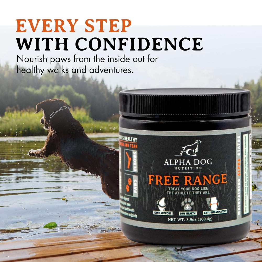 Beef liver flavor in Alpha Dog Nutrition joint powder adds palatability