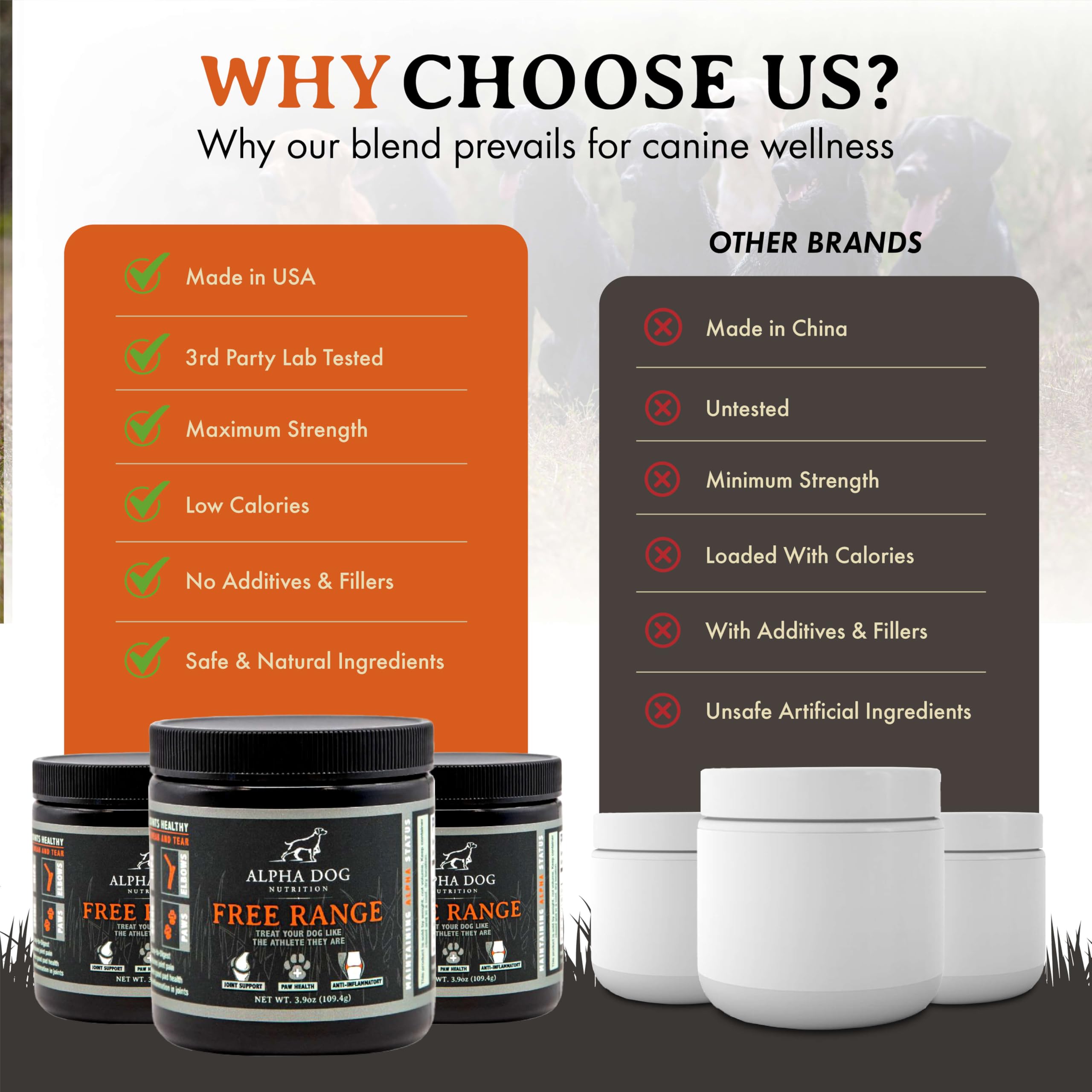 Outdoor scene of a dog with Alpha Dog Nutrition joint powder support