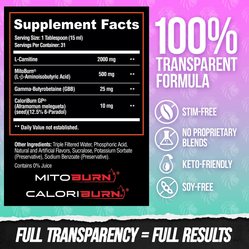ALPHA LION Burn2O zero-calorie bottle supports flexible dieting.
