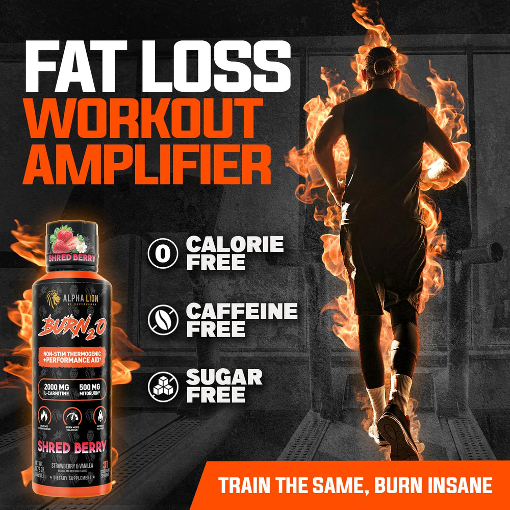 ALPHA LION Burn2O shredberry-shot supports steady metabolism during workouts.
