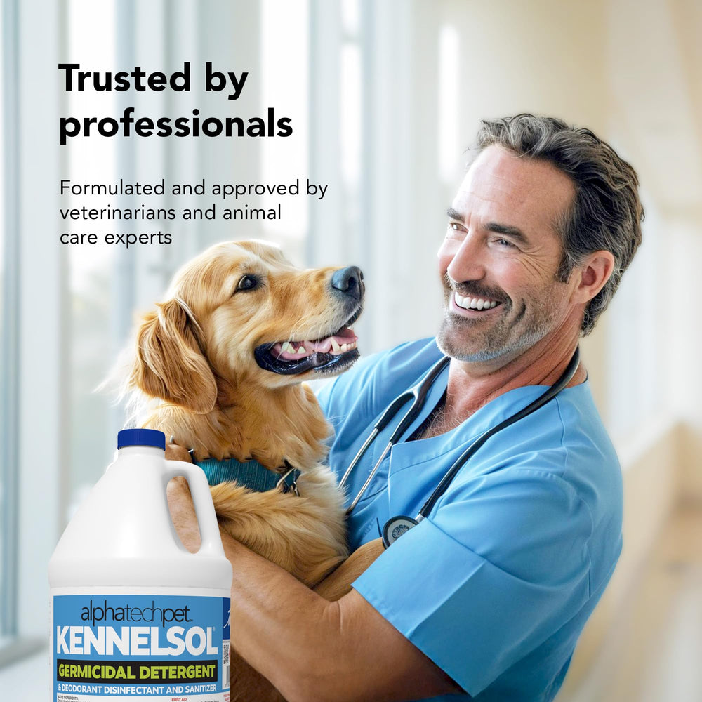 Clean kennel area after treatment with KennelSol for deodorized cleanliness.
