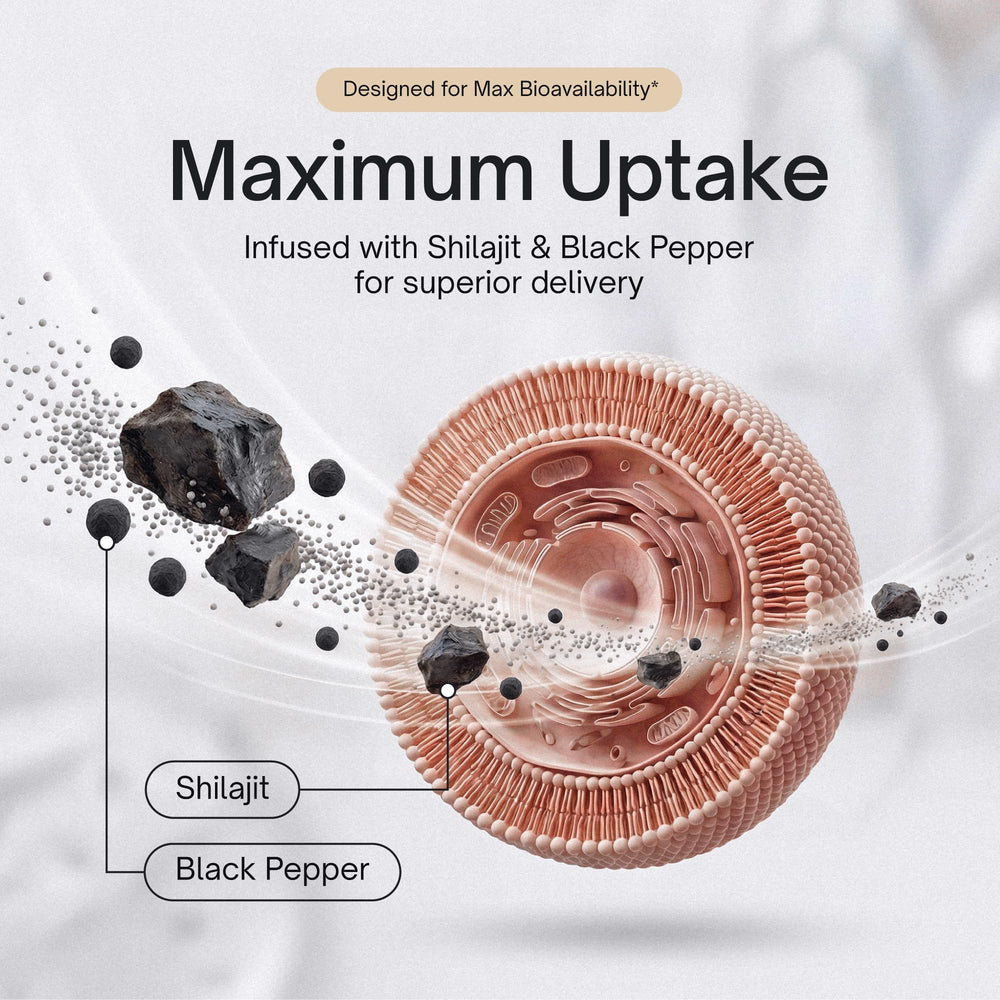 Alpha Tribe Test Protocol science-backed ingredients list focus on Tongkat Ali