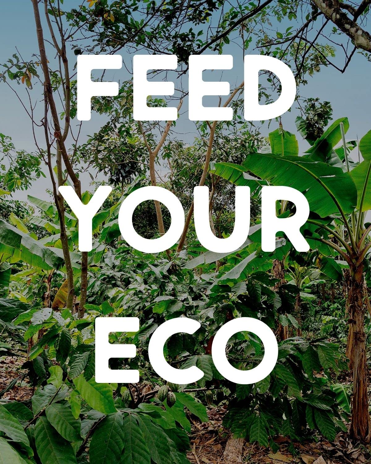 Resealable pack keeps Alter Eco granola fresh