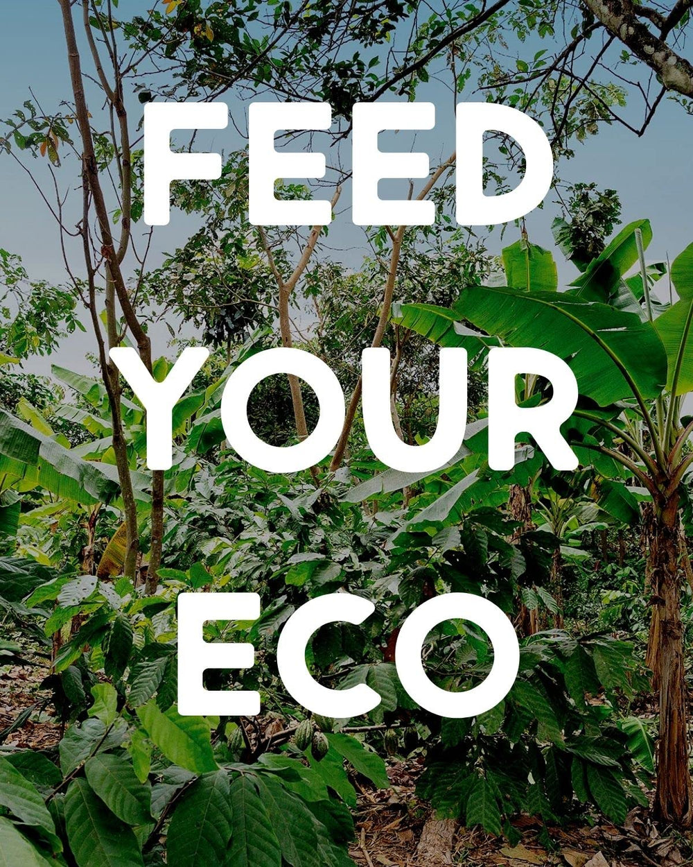 Resealable pack keeps Alter Eco granola fresh
