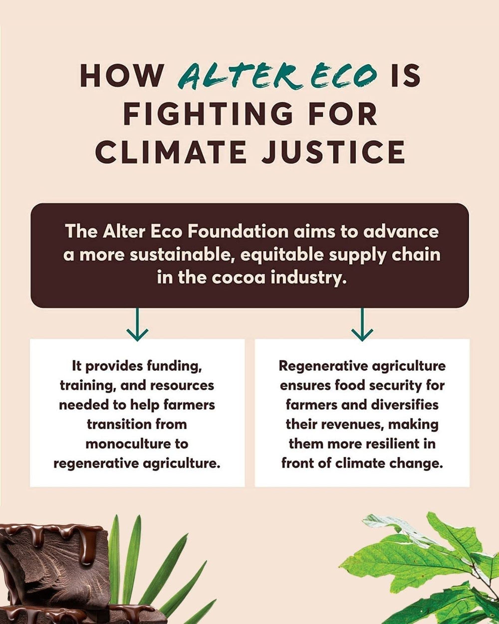 Alter Eco recyclable FSC packaging signals eco-friendly packaging.