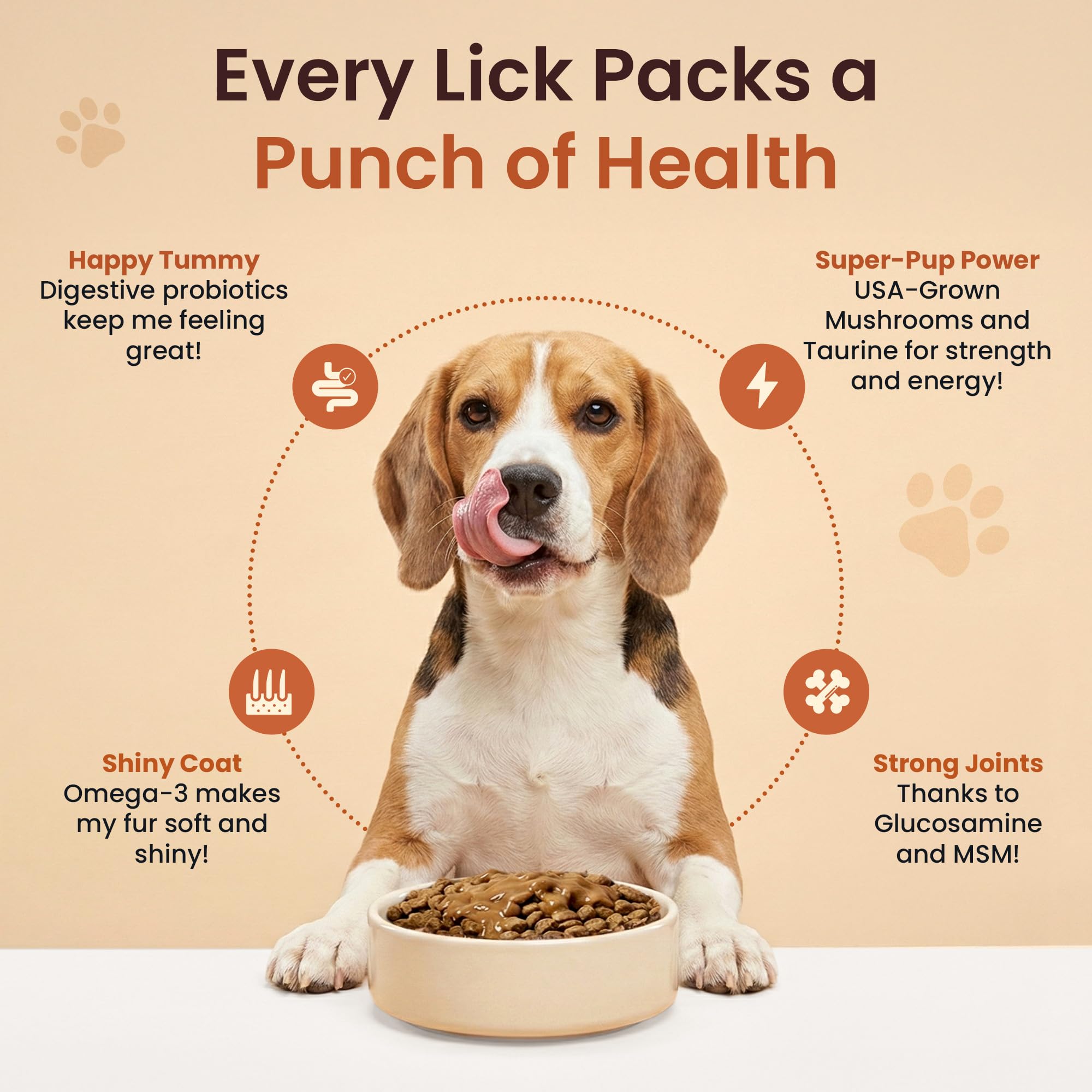 Altira Everyday Dog Gravy close-up ingredients highlight glucosamine and omega-3