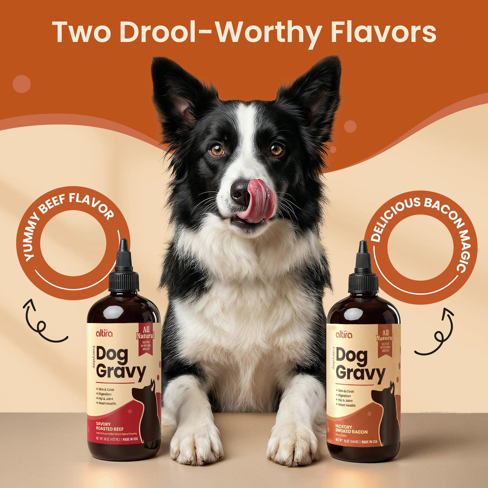 Altira Everyday Dog Gravy omega-3 and probiotics visual suggest digestive support