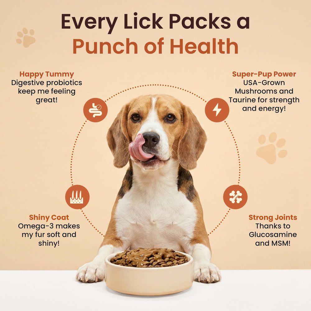 Altira Everyday Dog Gravy poured over kibble enhances meal appeal and ease of serving.