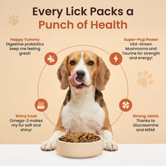 Altira Everyday Dog Gravy poured over kibble enhances meal appeal and ease of serving.
