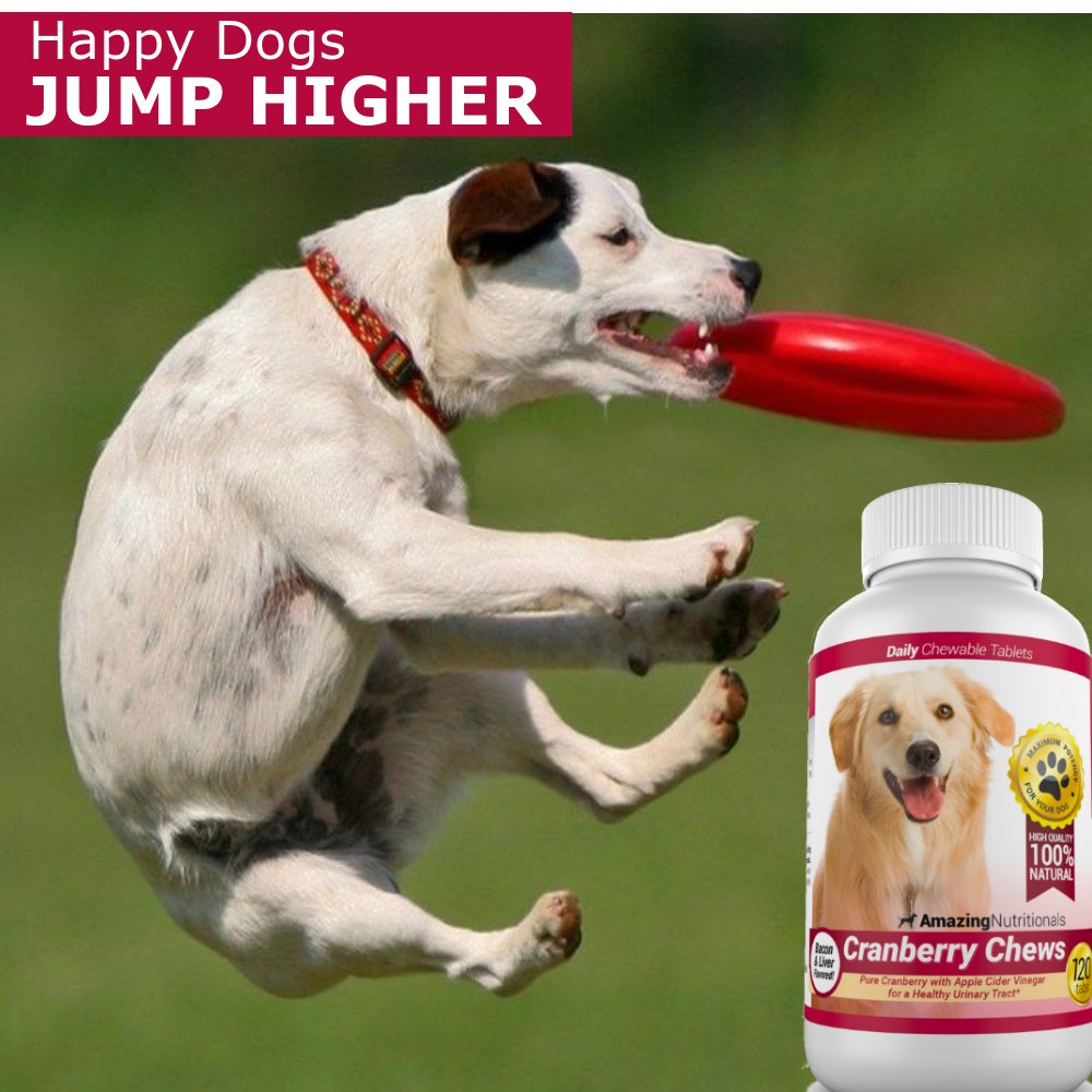 Amazing Cranberry dog chews close-up; bacon and beef liver flavor appeal.