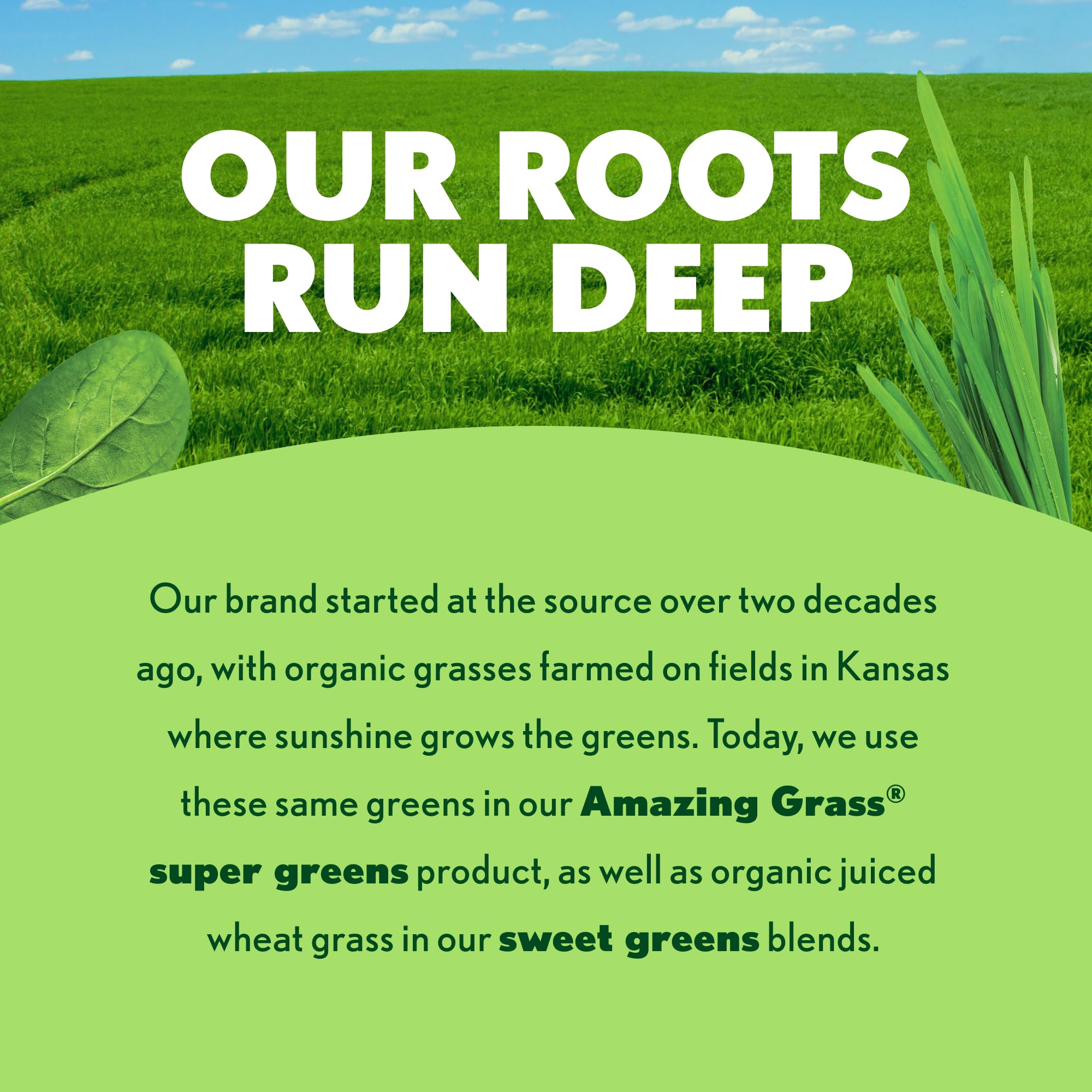 Amazing Grass Certified Organic by CCOF badge—trusted greens and fruits.
