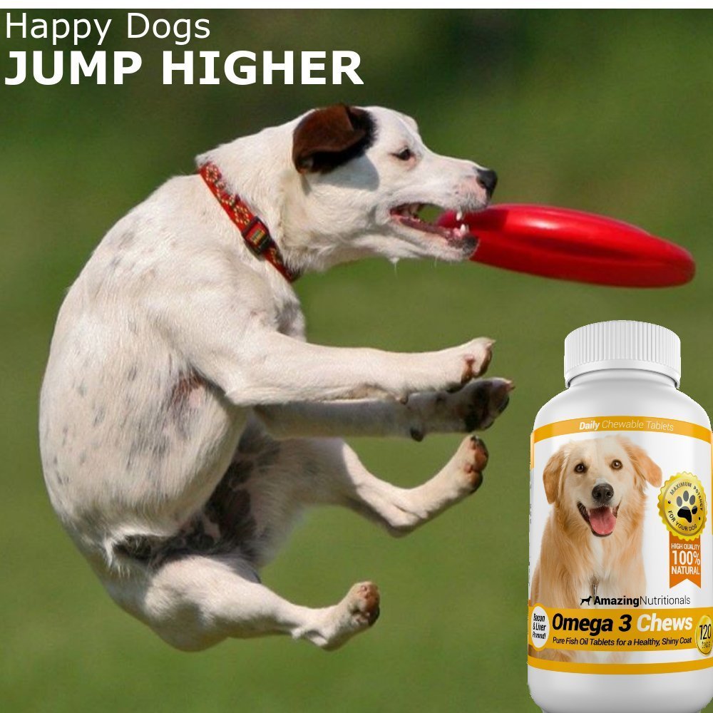 Amazing Omega 3 for Dogs coat-gloss chews may promote a shinier, softer coat.