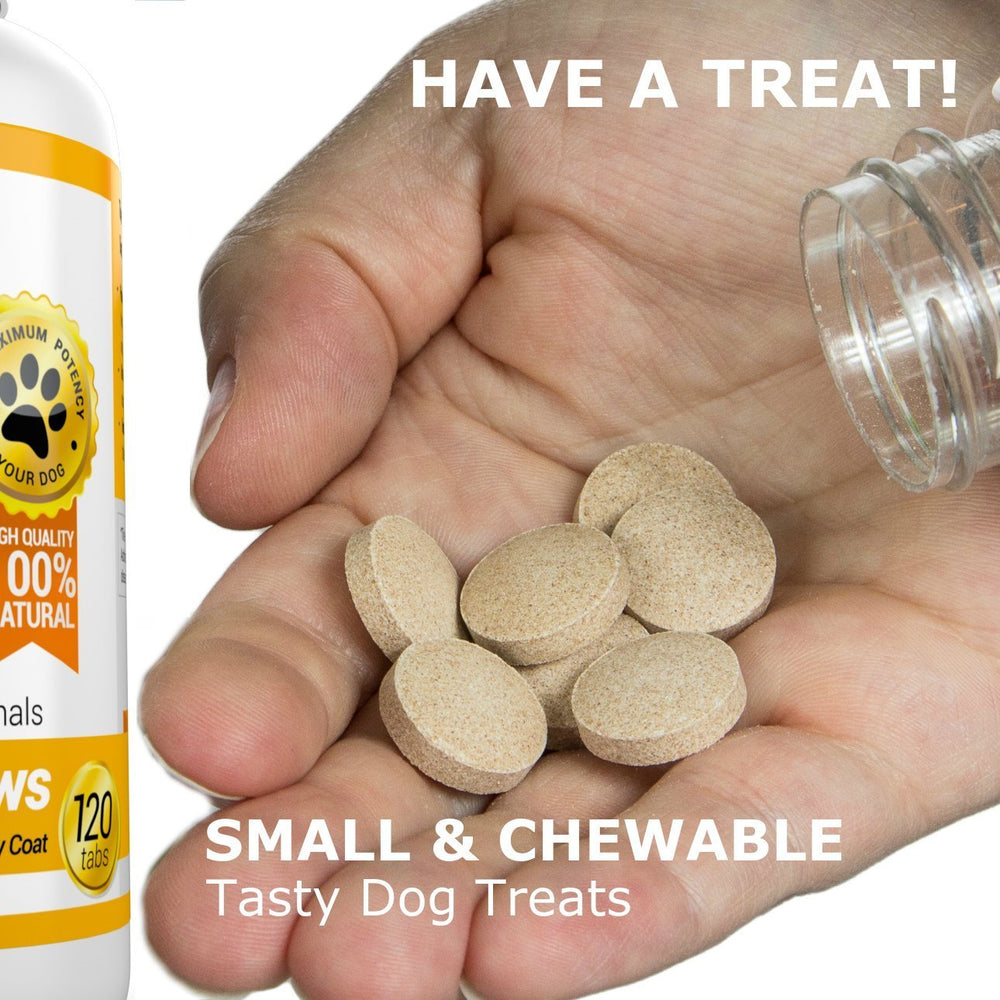 Amazing Omega 3 for Dogs joint-support chews may aid mobility in aging dogs.