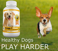 Amazing Omega 3 for Dogs skin-relief chews with omega-3 may soothe itching.