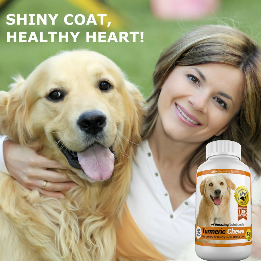 Amazing Nutritionals dog turmeric chews joint support, palatable bite-sized treats.