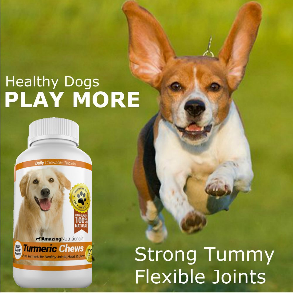 Amazing Nutritionals dog turmeric chew dosage guide shown on label.