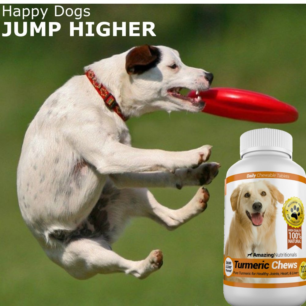 Amazing Nutritionals turmeric chews bottle packaging, made in America with hypoallergenic ingredients.