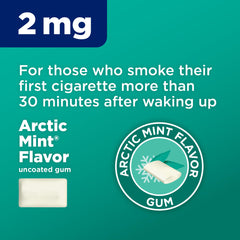 Amazon Basic Care nicotine gum 2 mg Arctic Mint with open tube showing quick-use pieces