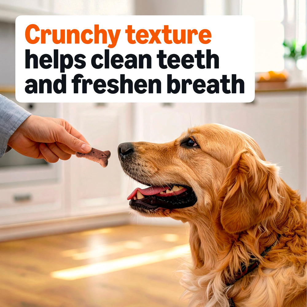 Amazon Basics Crunchy Dog Biscuits four-flavor variety; keeps treats interesting for dogs.