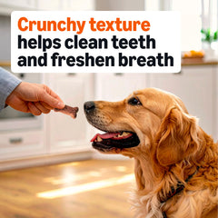 Amazon Basics Crunchy Dog Biscuits four-flavor variety; keeps treats interesting for dogs.