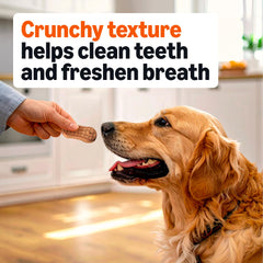 Amazon Basics Crunchy Dog Biscuits bag opened, showing biscuits; bulk-value for households.