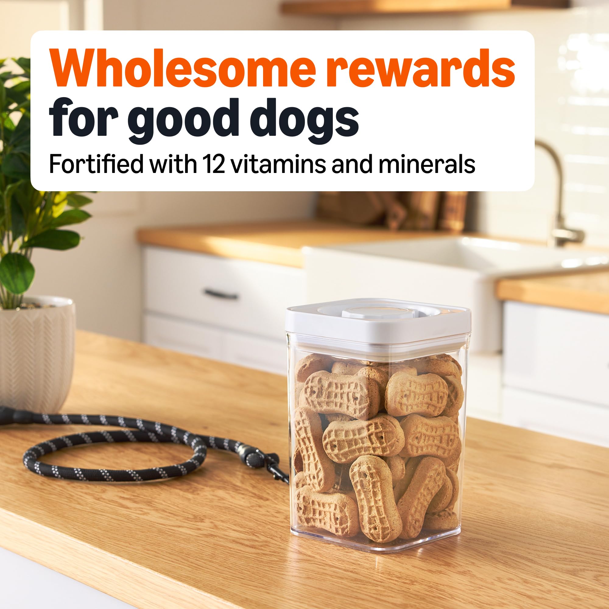 Amazon Basics Crunchy Dog Biscuits beside a dog during training session; great reward.