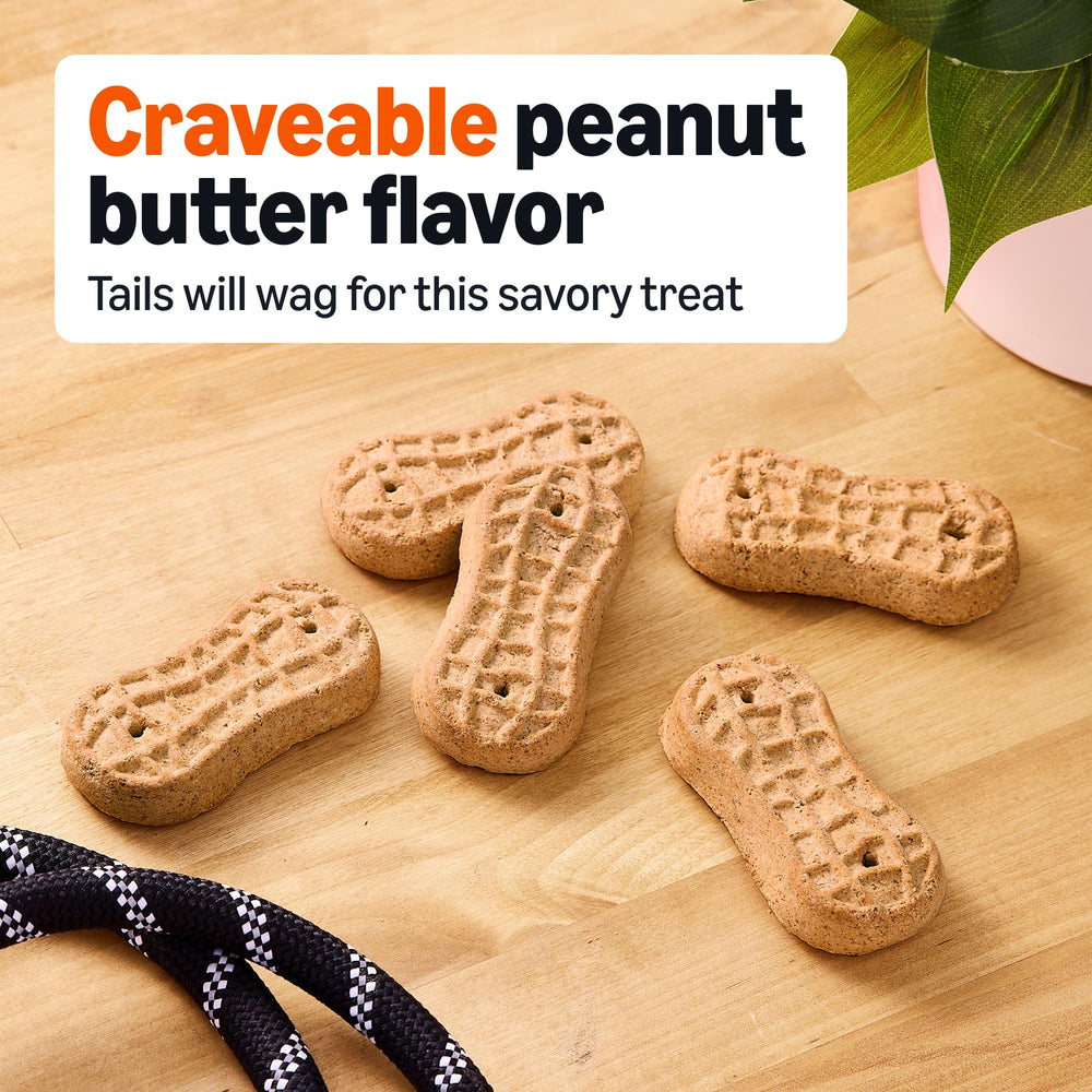 Close-up of Amazon Basics Crunchy Dog Biscuits texture for dental-friendly snacking.
