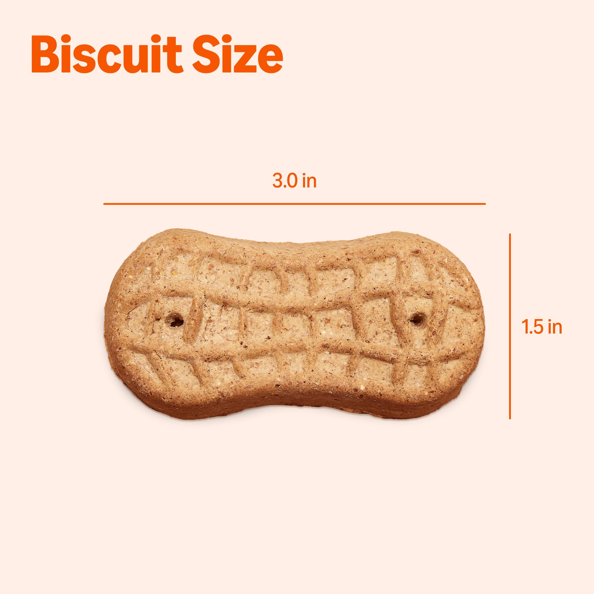 Amazon Basics Crunchy Dog Biscuits nutrition label emphasizes vitamins and minerals.