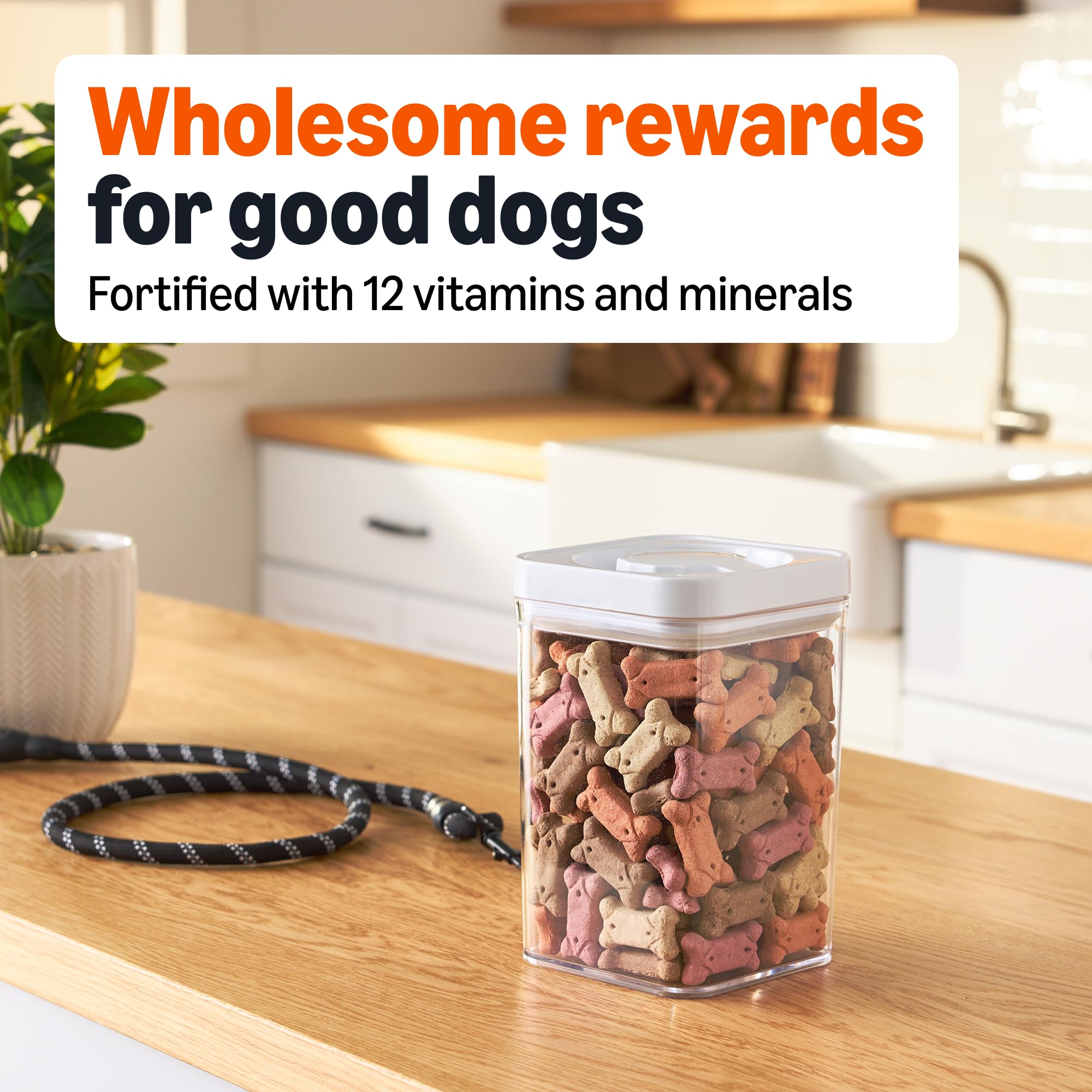 Amazon Basics Crunchy Dog Biscuits enriched with 12 vitamins and minerals for daily use.