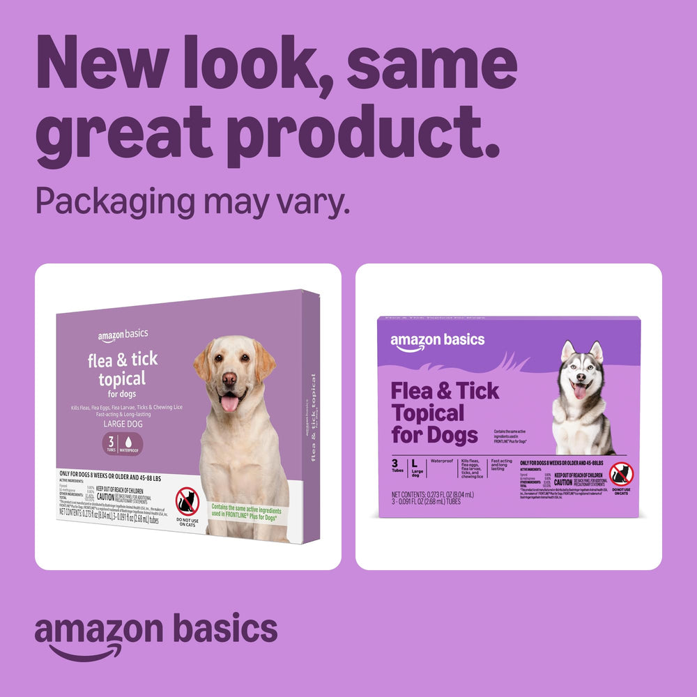 Applying Amazon Basics treatment on a dog's back shows easy application.