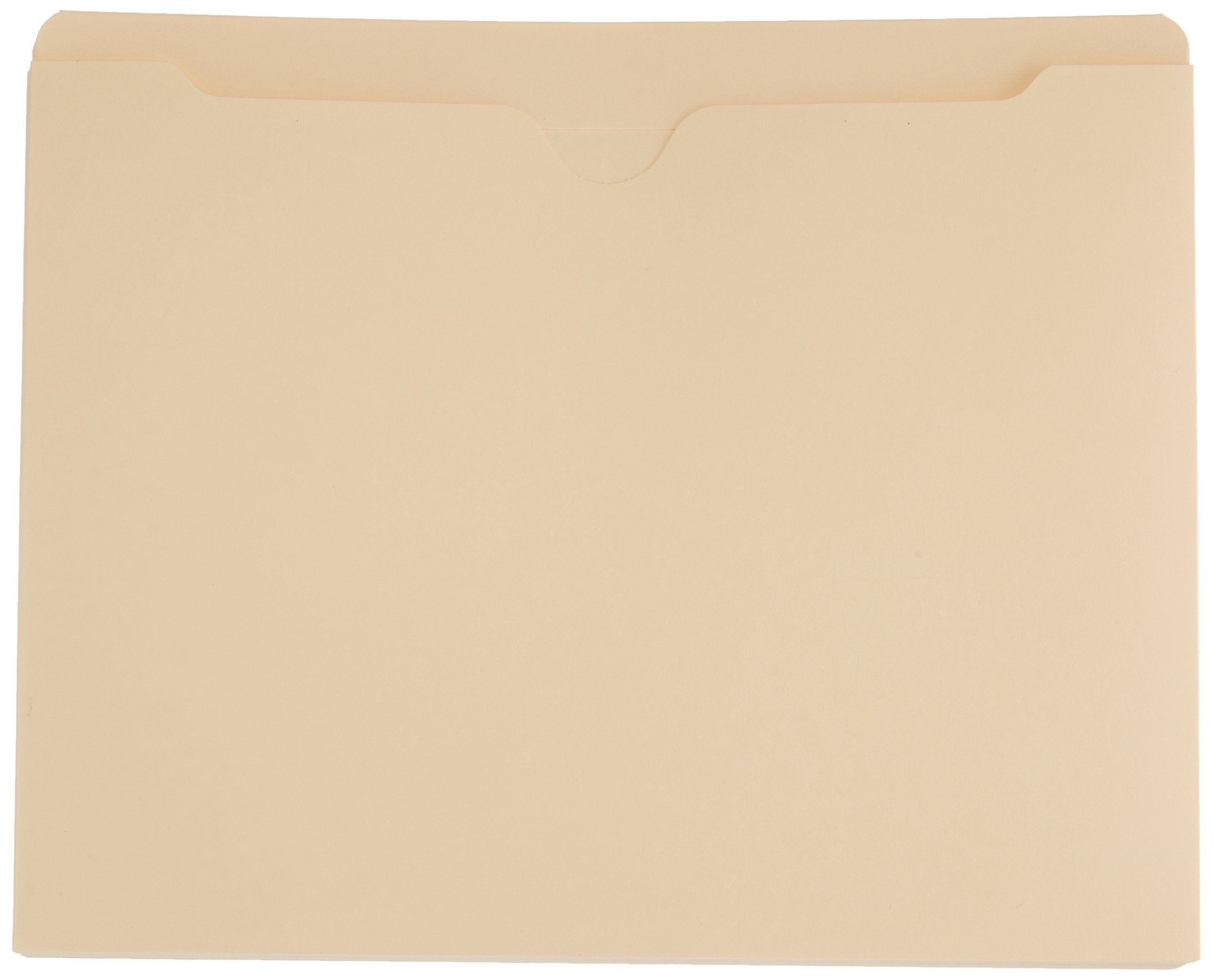 Amazon Basics file jackets reinforced tab for long lasting labeling and easy reference.