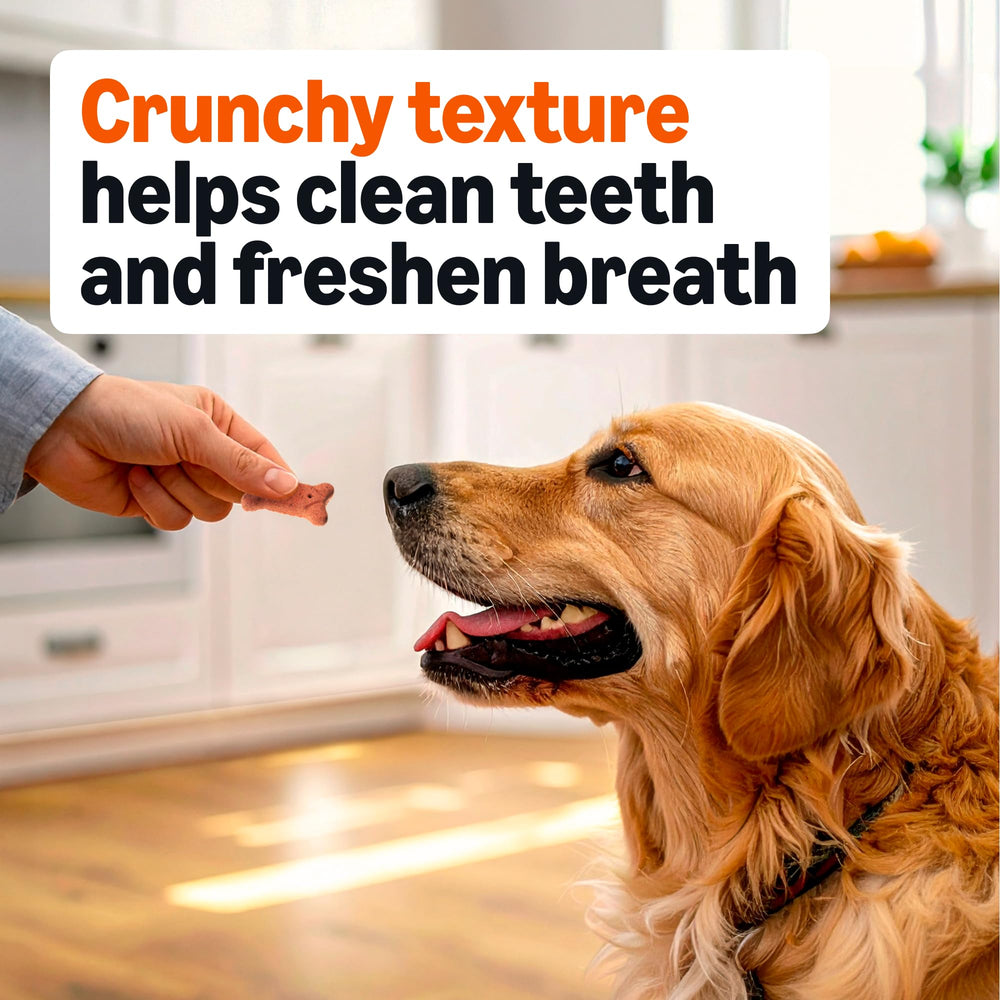 Amazon Basics Crunchy Dog Biscuits five flavors displayed for variety and curiosity.