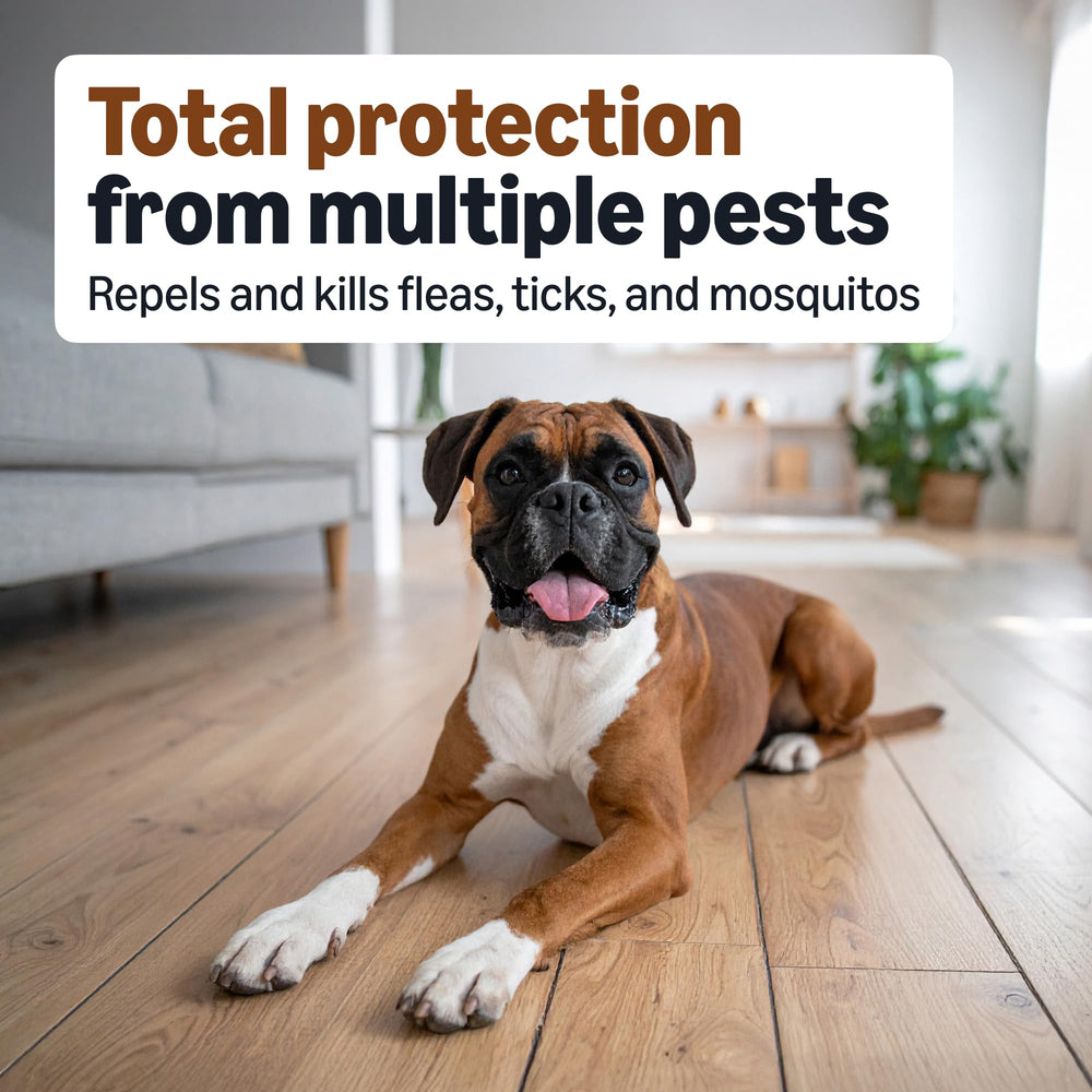 Amazon Basics flea-tick-mosquito-formula targets pests during outdoor playtime.