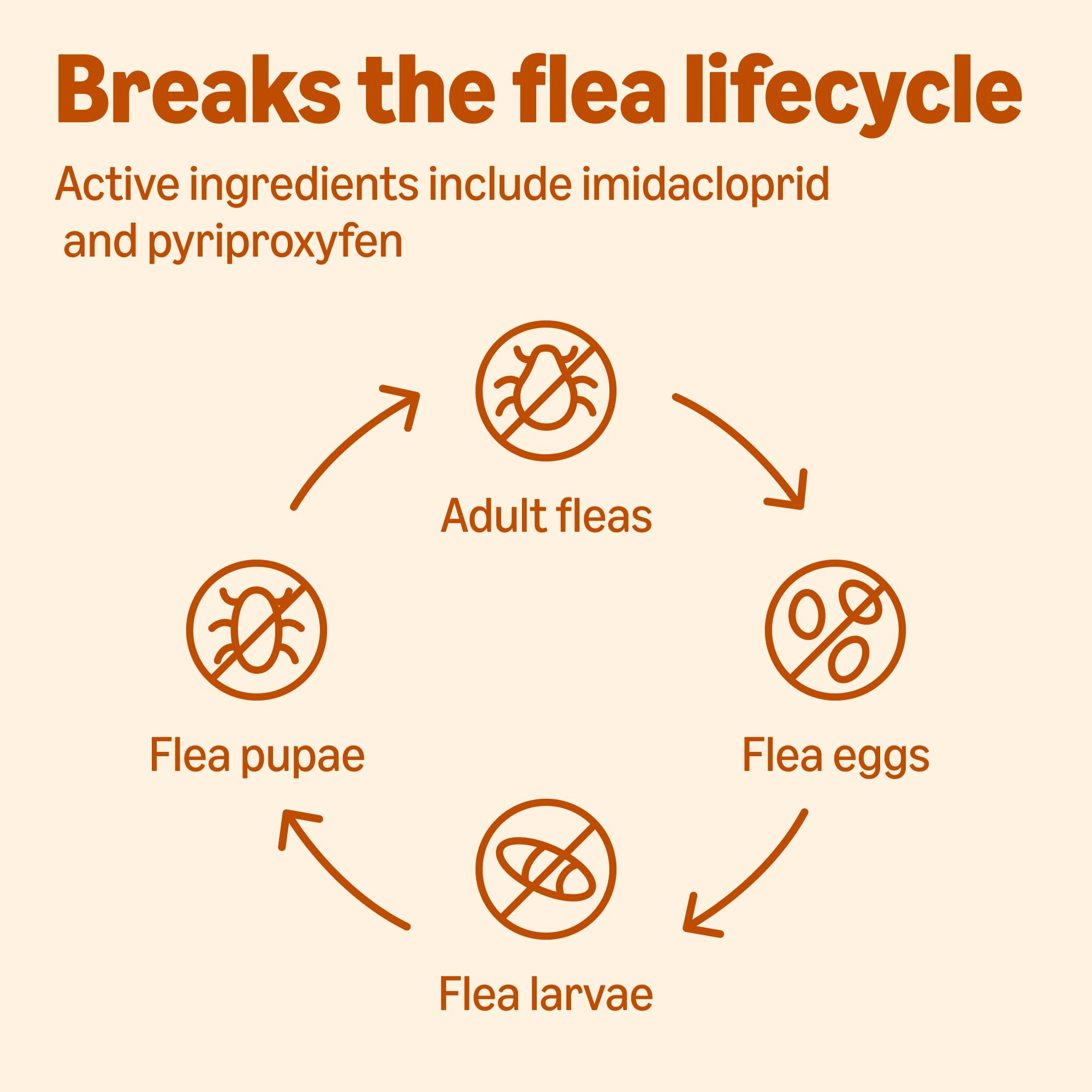 Illustration of fast-acting flea treatment starting within 12 hours