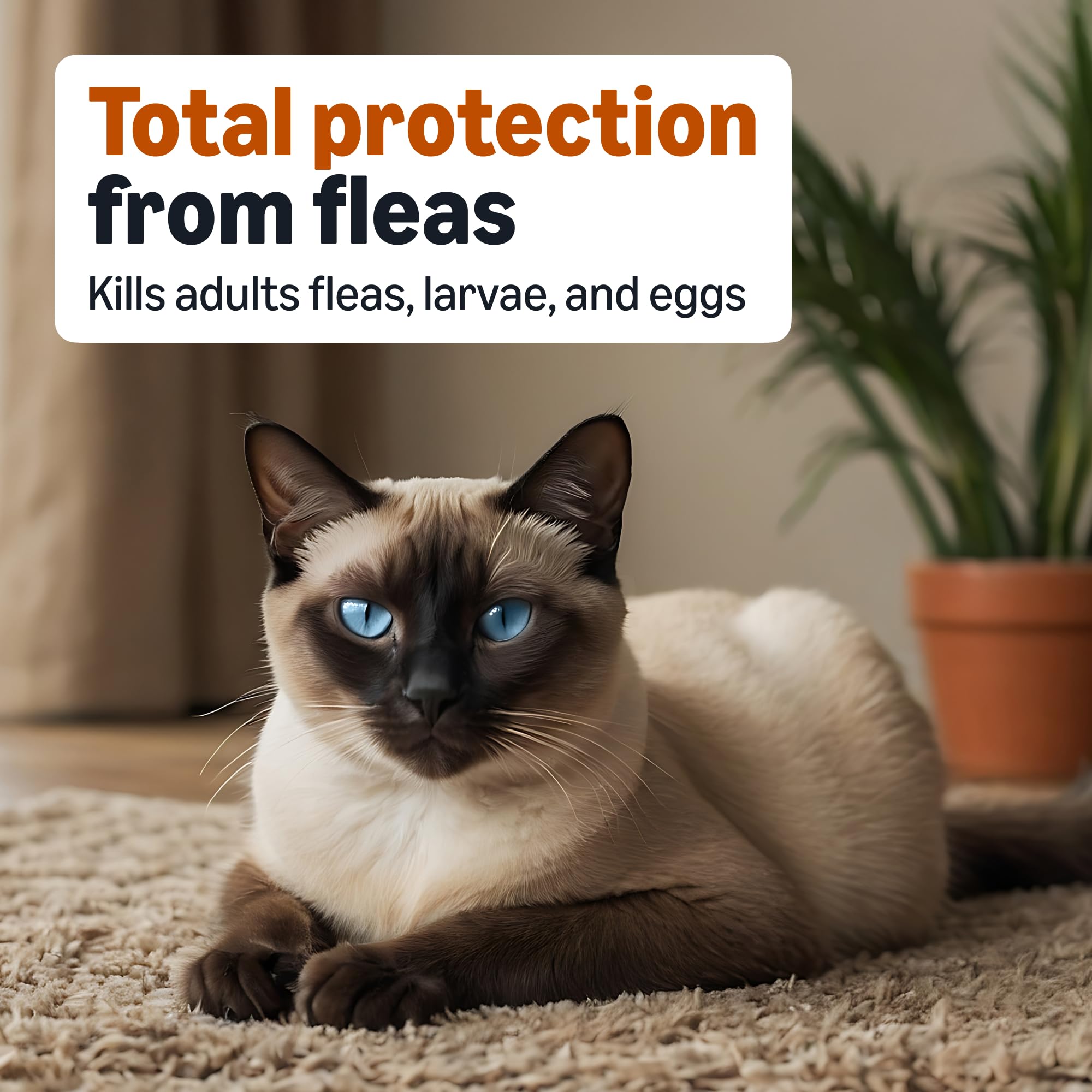 Amazon Basics flea treatment cat between-shoulder-blades highlights convenient application area.