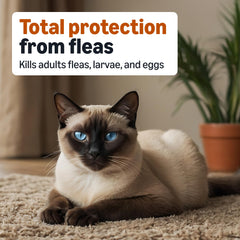 Drop-on flea treatment being applied to dry skin on cat's back
